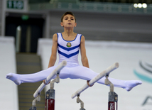 Kişi idman gimnastikası üzrə 22-ci Bakı Çempionatı və Birinciliyi. Bakı, Azərbaycan, 02 oktyabr 2015